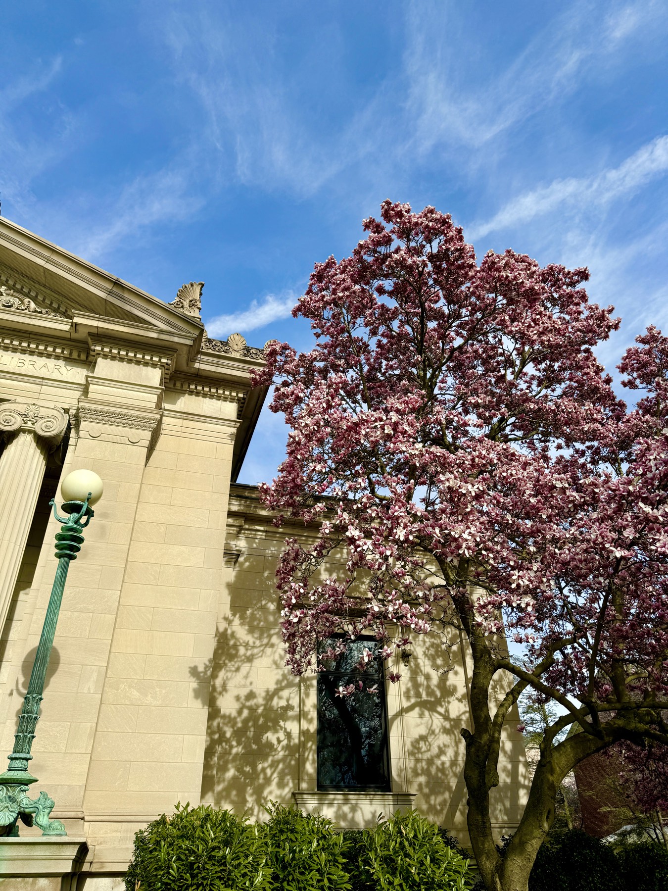 Spring 2025 at Brown University