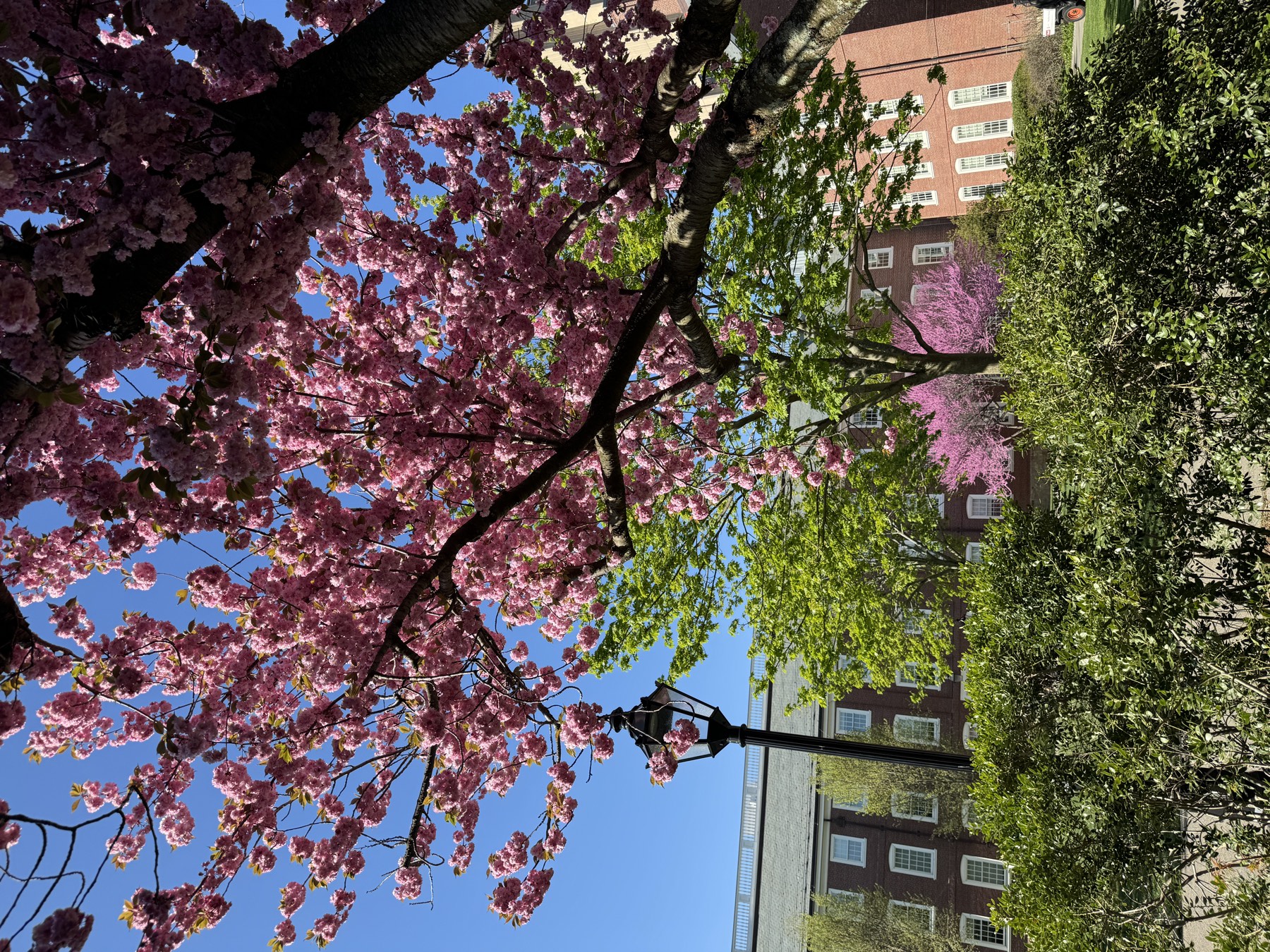 Spring 2024 at Brown University