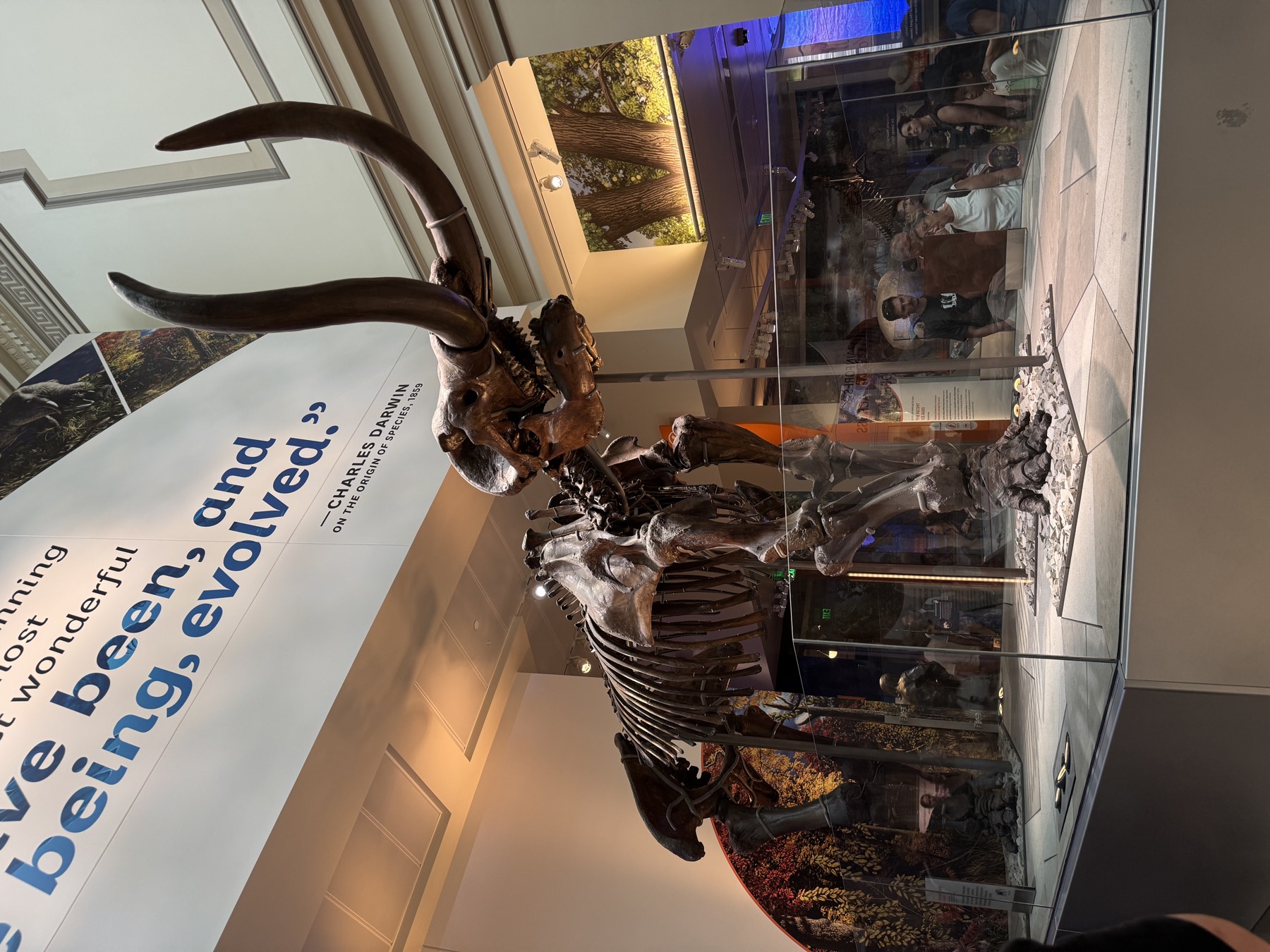 The Natural History Museum in Washington, DC