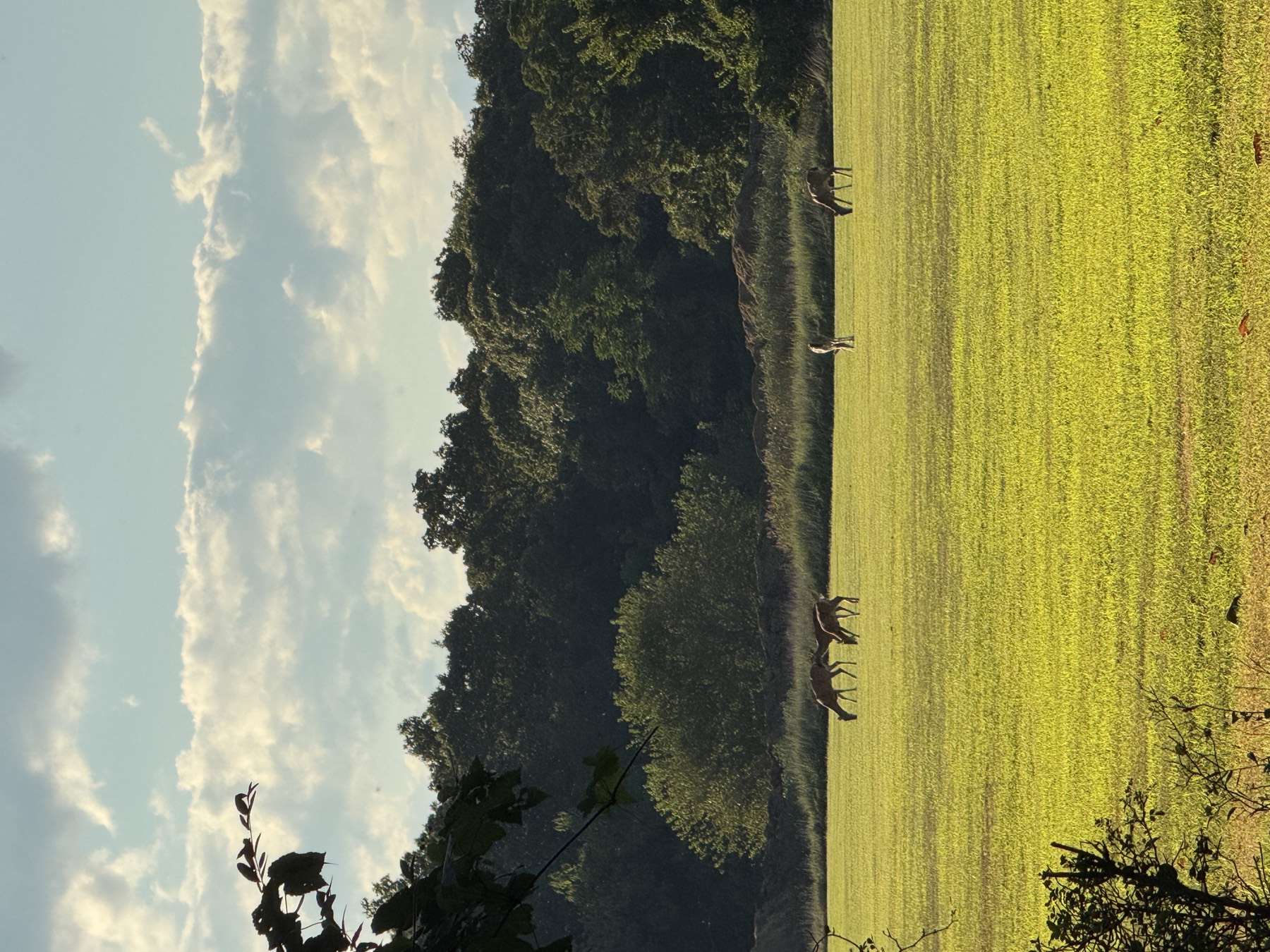 Caumsett State Park in Lloyd Harbor, NY
