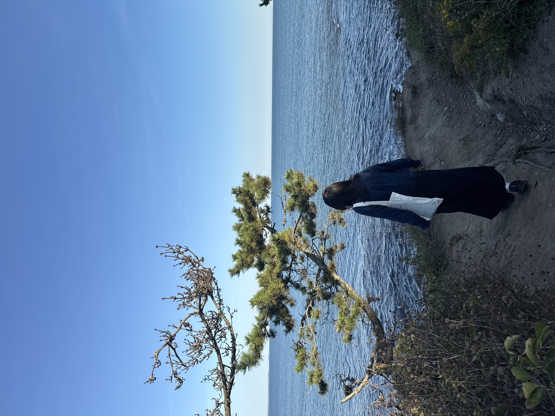 Cliff Walk in Newport, RI