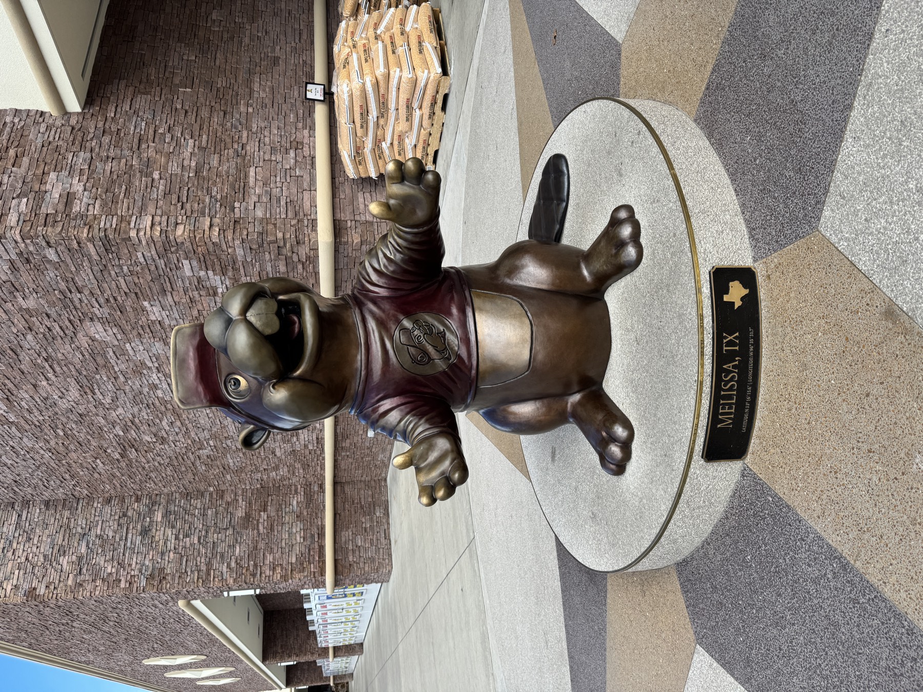 Buc-ee's in Dallas, TX